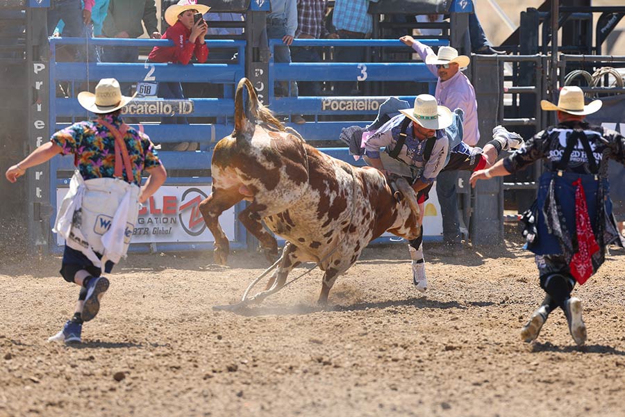 junior high rodeo bullfighter