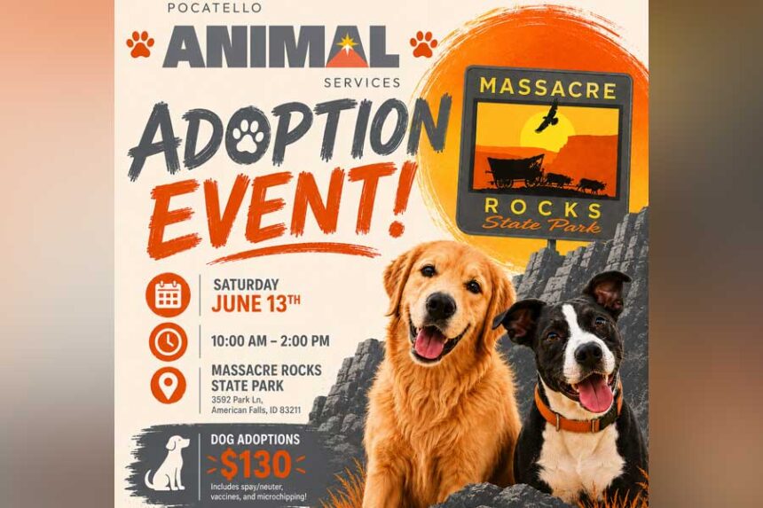 Flyer for Pocatello Animal Services adoption event on June 13, 2026.