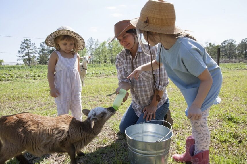 Mother and two children on farm, bottle feeding young goat