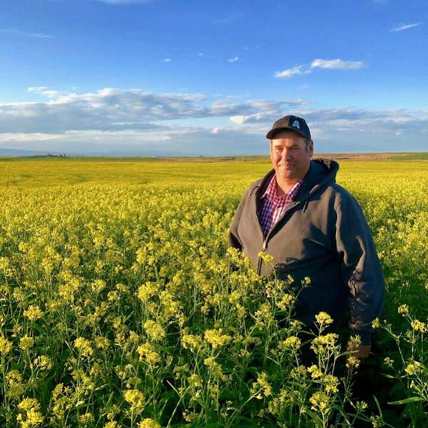 Justin Place in his mustard field in Hamer. | Courtesy Justin Place
