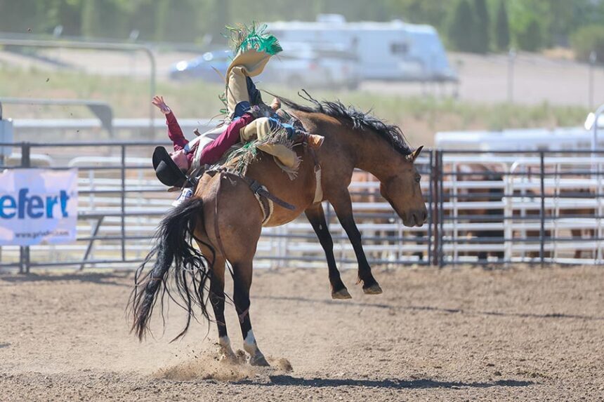 Rodeo state finals bareback