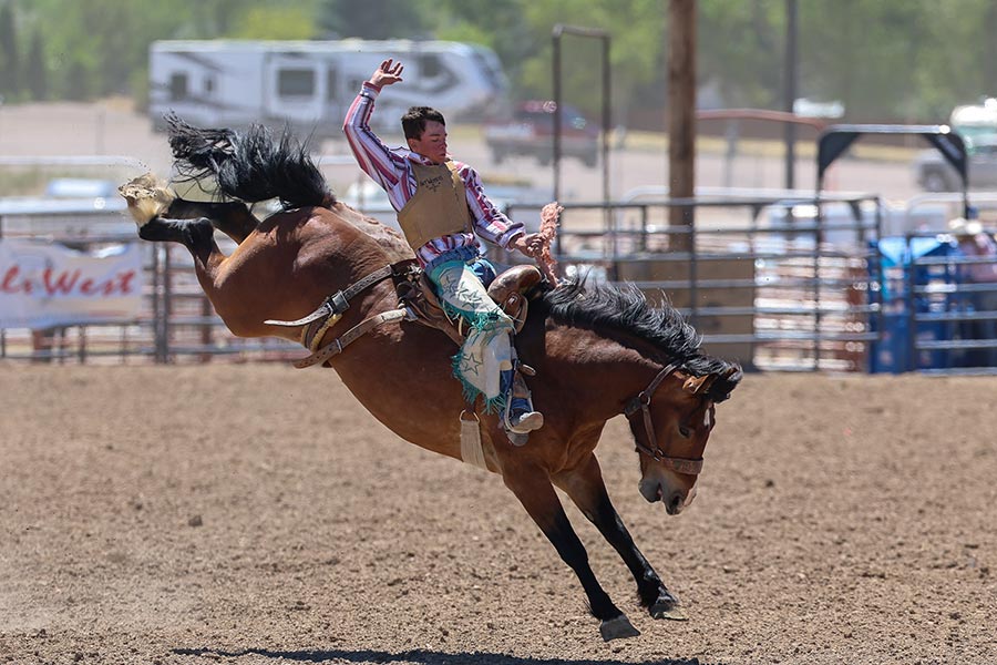 Rodeo state finals bareback