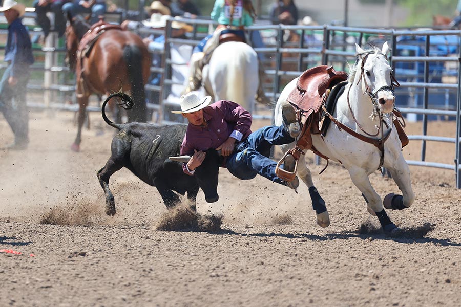 Rodeo state finals steer wrestling