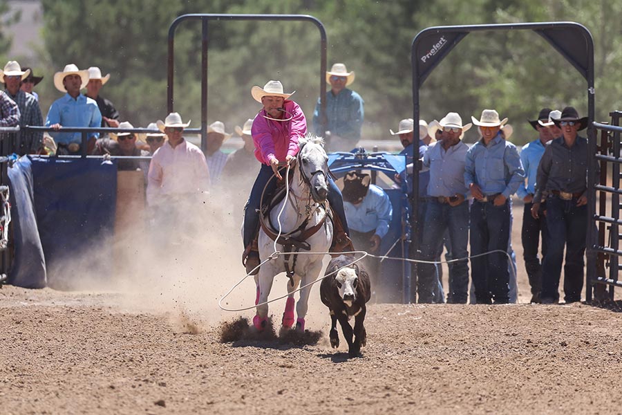 Rodeo state finals tie-down