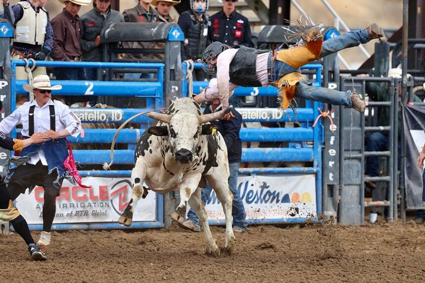 state rodeo