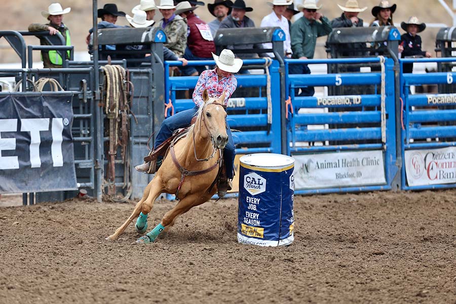 state rodeo