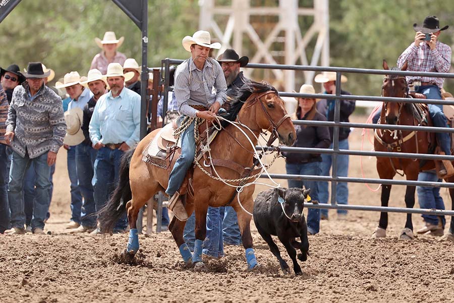 state rodeo