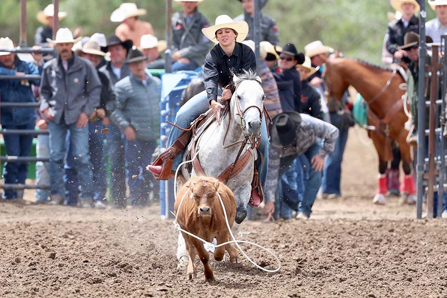state rodeo