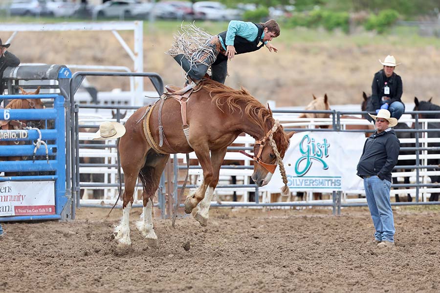 state rodeo