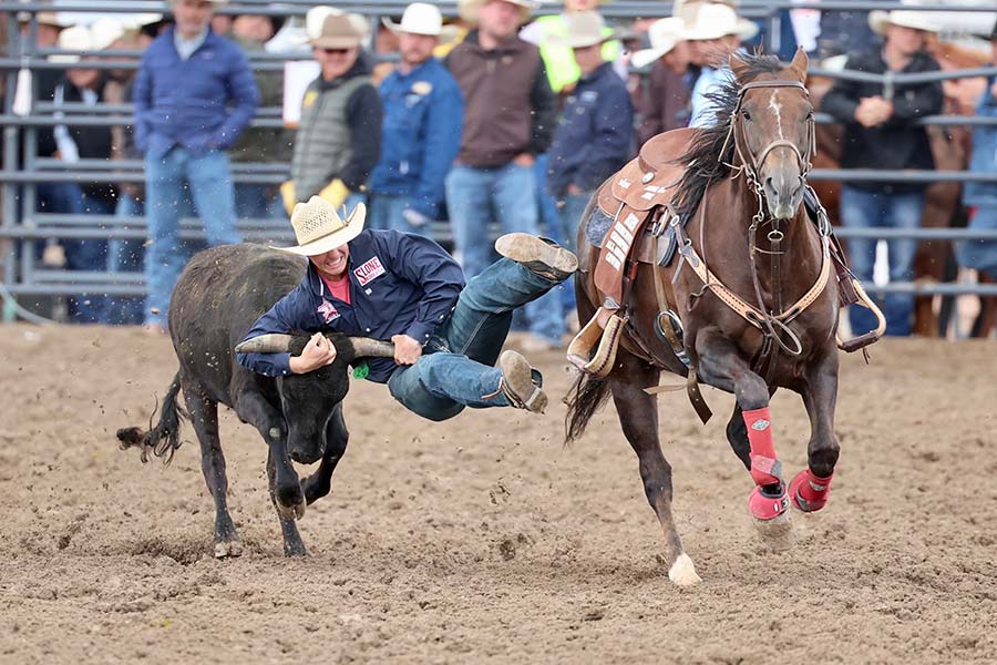 state rodeo