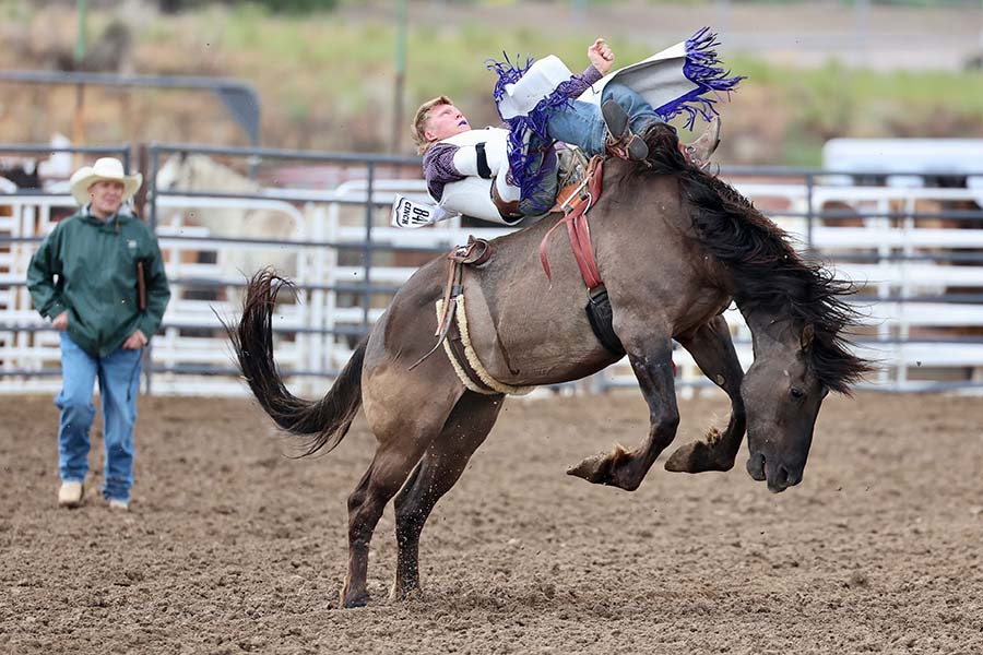 state rodeo