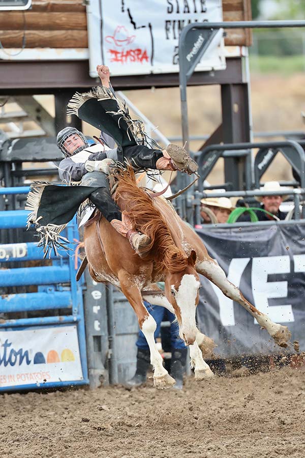 state rodeo