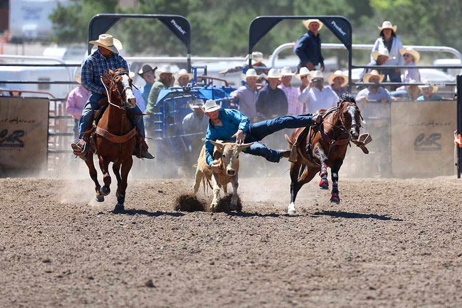 rodeo steer wrestling