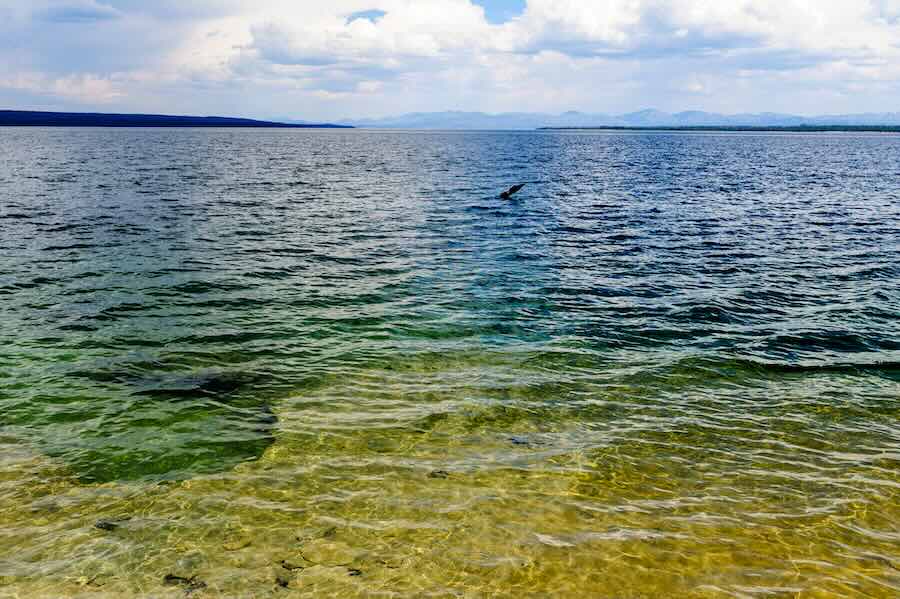 Colorado kayaker found dead in Yellowstone Lake
