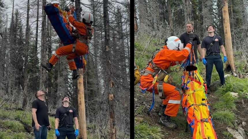 timberline rescue