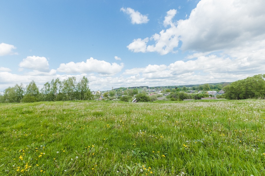 Debt-free, no kids, $180K income. How much should we spend on land?