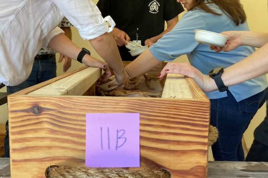 FILE - Forensic anthropologists, archeologists and volunteers prepare the remains of an unidentified Revolutionary War soldier killed in the Battle of Camden in 1780 for reburial on March 30, 2023, in Columbia, S.C.