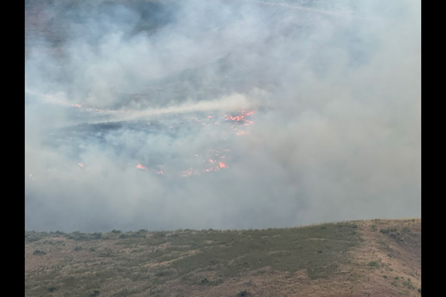 Brushfire breaks out in Ammon foothills, multiple agencies respond