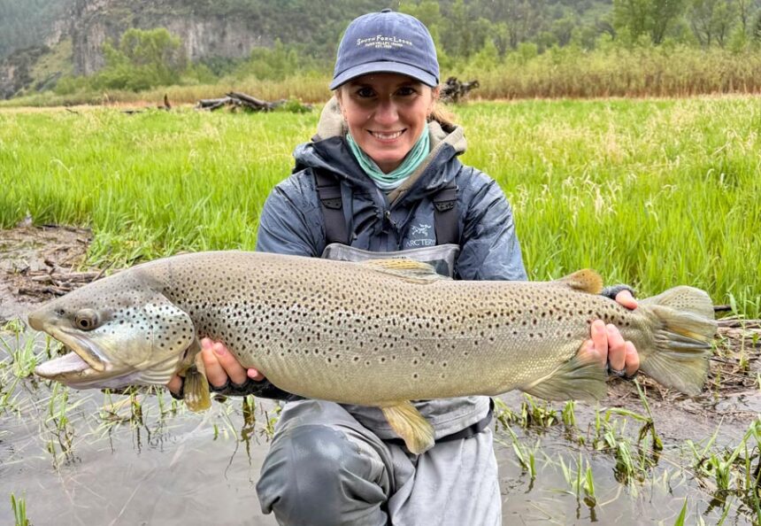 Caroline Langdale hoists a 30.5-inch monster she pulled from the South Fork of the Snake River. With the help of her guide, Caroline stretched the brown trout along a tape measure and instantly was told she might have a shot at the state record. | Idaho Fish and Game