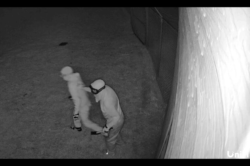 Suspects of a security camera vandalism in Sugar City. | Madison County Sheriff's Office
