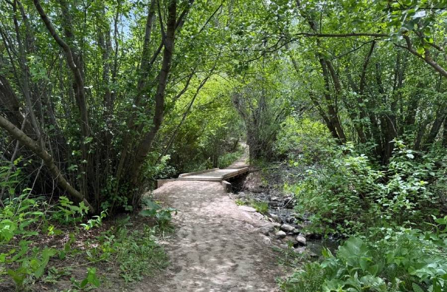 Heather Colby, AllTrails