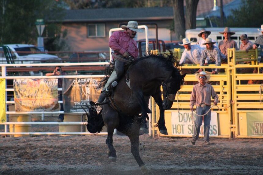 Downey bucking horse
