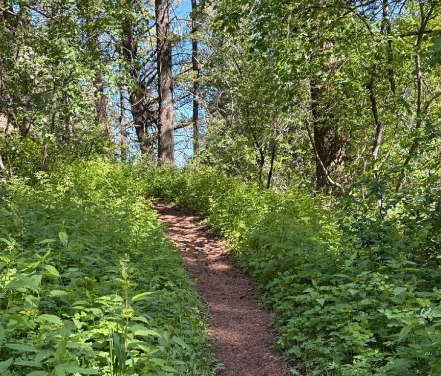 Hidden Vista