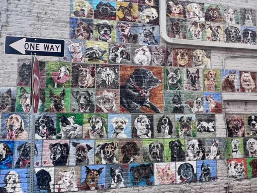 Finished pet mural in downtown Idaho Falls | Courtesy of Kerry Hammon