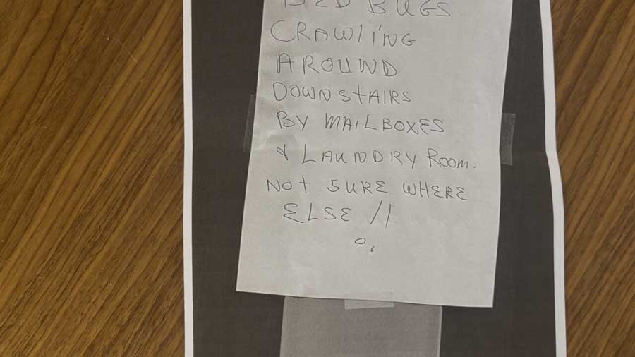 ‘I can’t live like this’: Nampa neighbors raise concerns about bed bugs, push for change from management