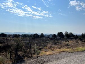 Lake Channel fire burn area