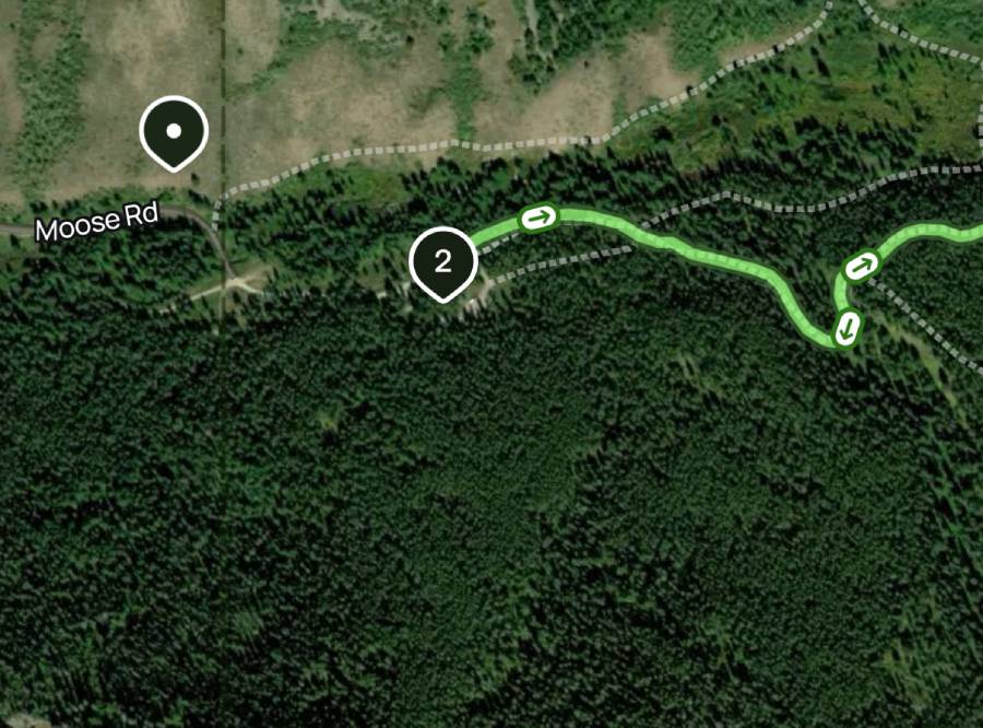 Moose Creek 1