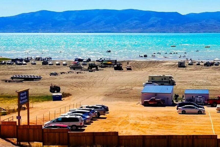 North Beach Rentals