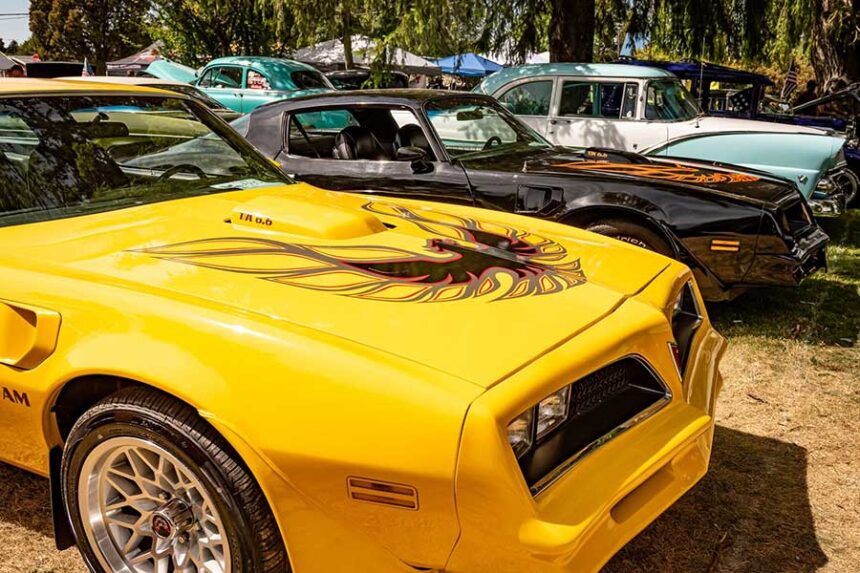 Classic cars lined up and Rigby Hot Classic Nights Car Show and Drags