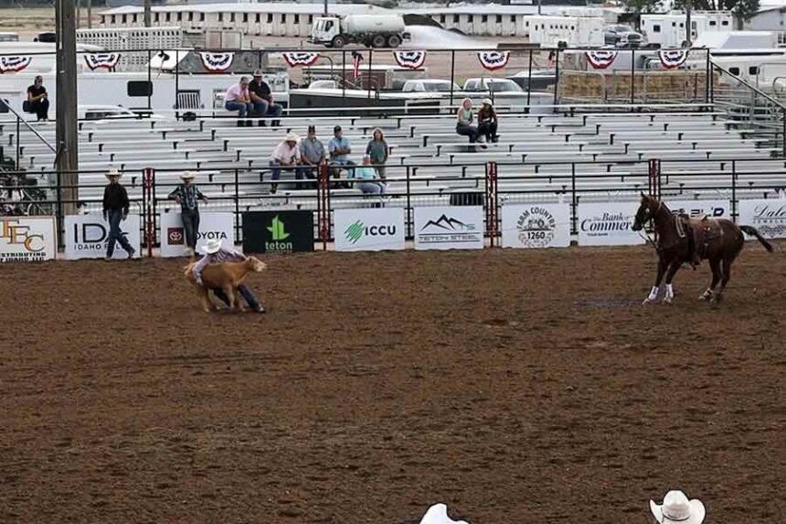 A cowboy demonstrates how to rope a calf in a rodeo competition during a press event for the 2026 War Bonnet Rodeo at Sandy Downs, Wednesday, July 29, 2026, in Idaho Falls.
