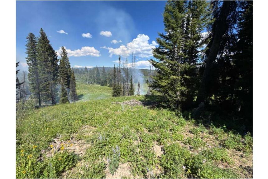 Multiple trees caught fire in Caribou-Targhee National Forest Friday afternoon after a lightning strike. | Courtesy Caribou-Targhee National Forest