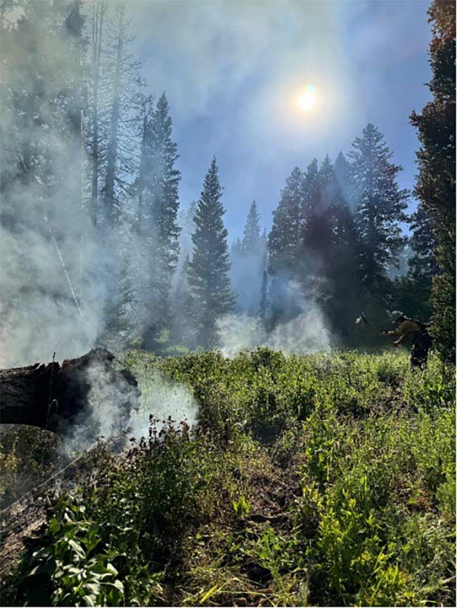 Alpine Slough Fire on July 10. | Courtesy Caribou-Targhee National Forest