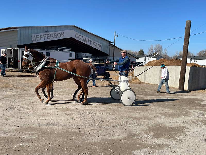 University of Idaho Extension educator Sawyer Fonnesbeck, Oneida County, drives his family’s chariot team. | Courtesy University of Idaho