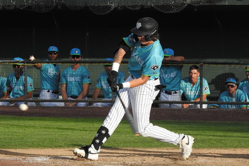 Chukars Parker Lester