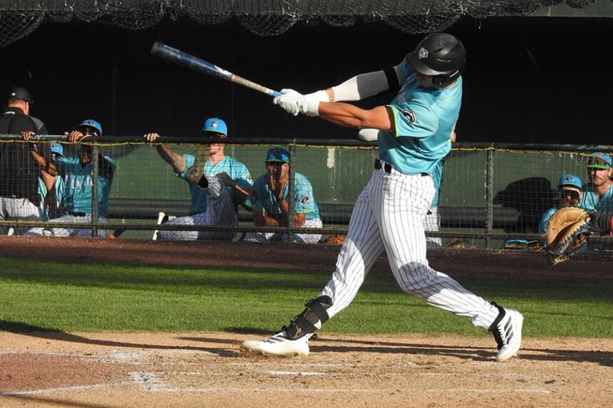 Chukars Justin Trimble