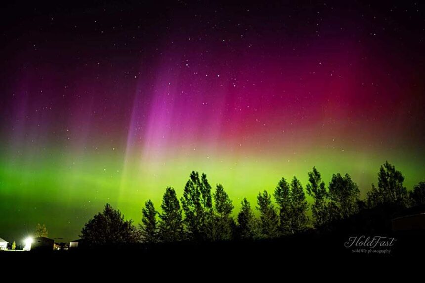 northern lights 1