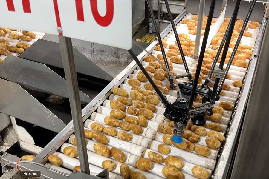 Robot sorting potatoes at Wada Farms. | Rett Nelson, EastIdahoNews.com