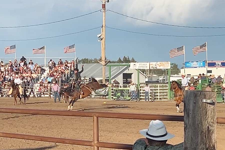 rodeo 1