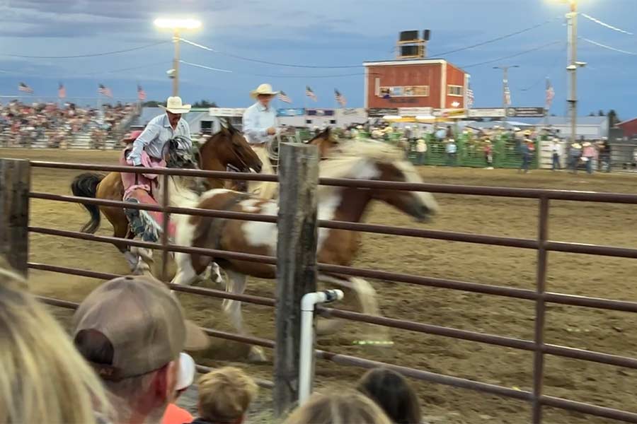 rodeo 10