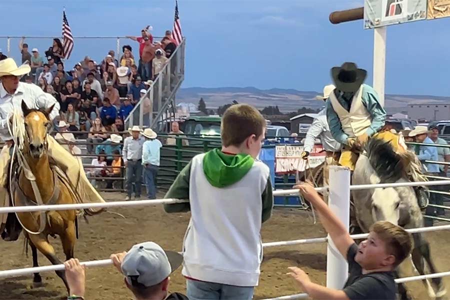 rodeo 11