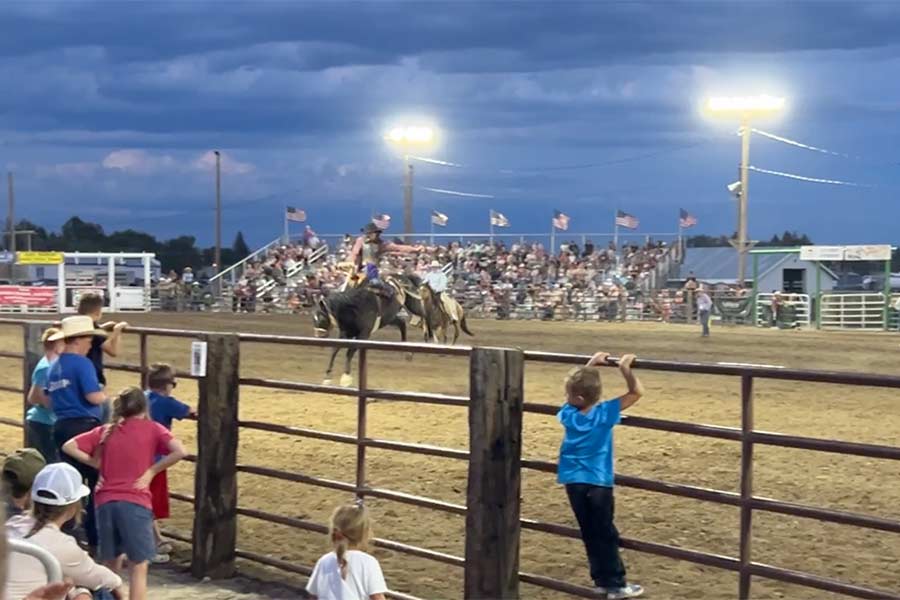 rodeo 12
