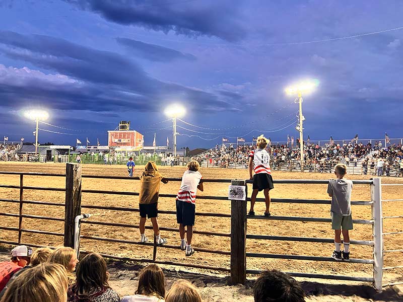 rodeo 14