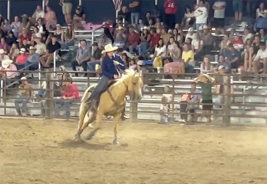rodeo 17