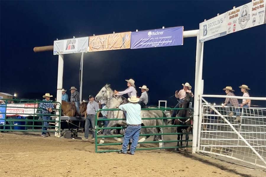 rodeo 19