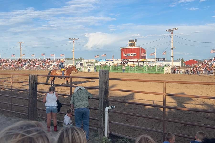 rodeo 2