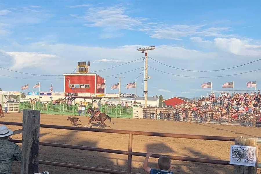 rodeo 3